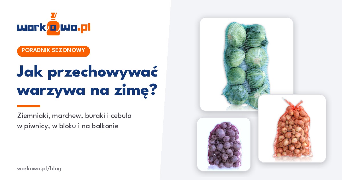 Jak przechowywać warzywa na zimę? Ziemniaki, marchew, buraki, seler i cebula w piwnicy, w bloku i na balkonie